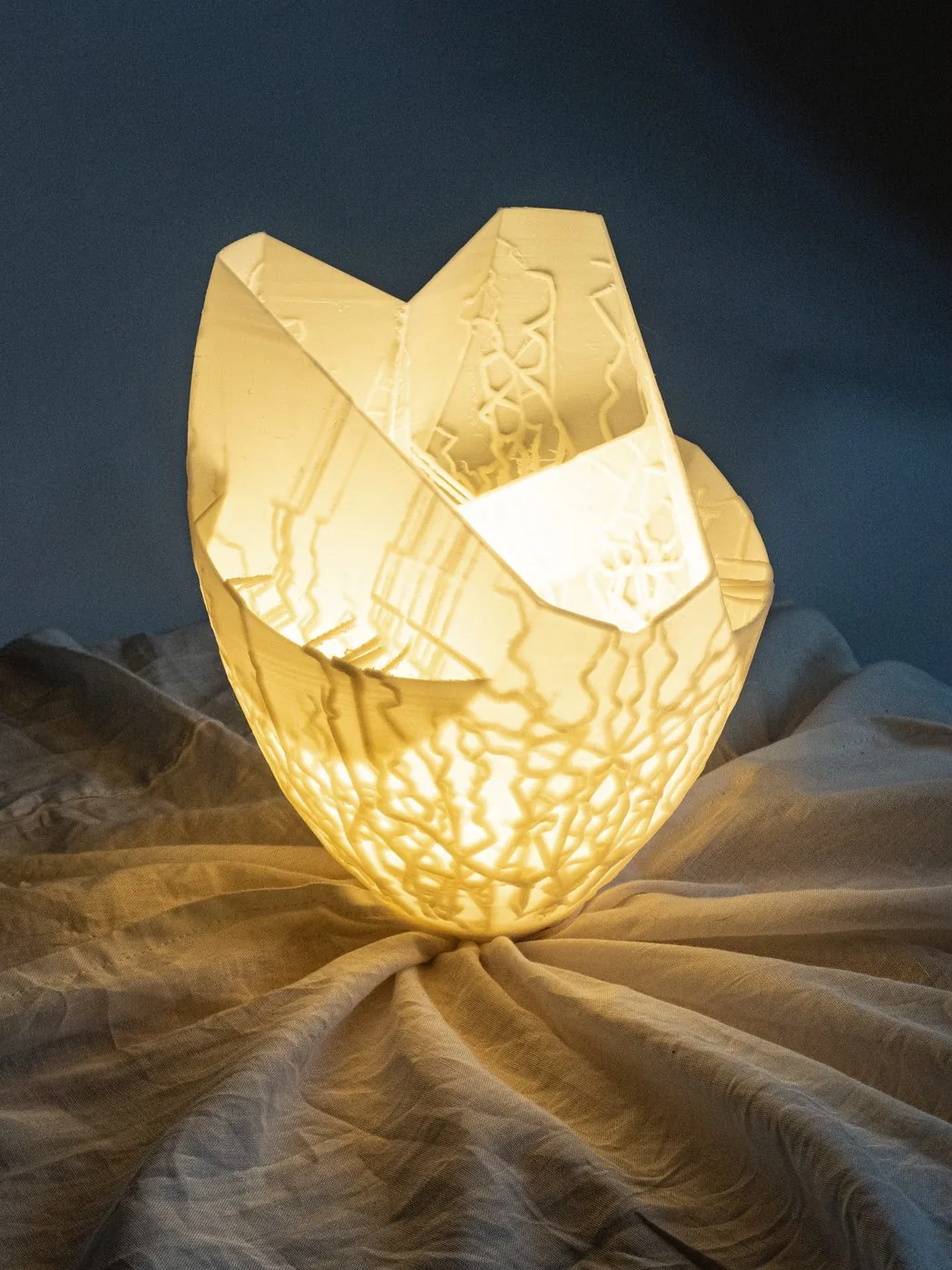 Seed lamp illuminated
